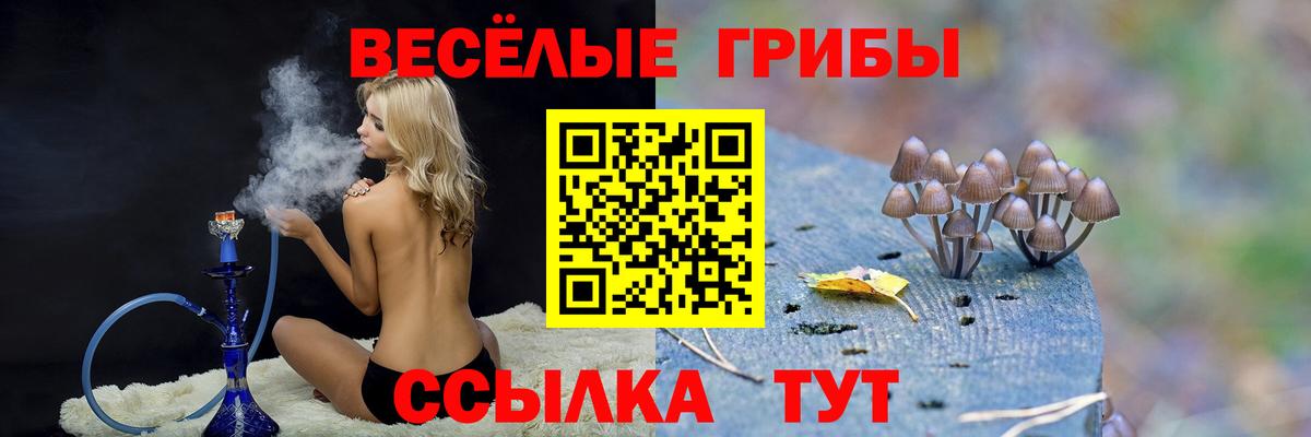 Ульяновск  Псилоцибиновые грибы Psilocybe  Псилоцибиновые грибы Cubensis  Вход с VPN 